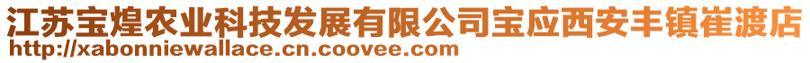 江蘇寶煌農(nóng)業(yè)科技發(fā)展有限公司寶應(yīng)西安豐鎮(zhèn)崔渡店