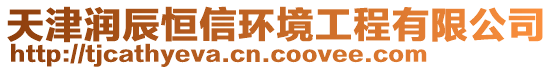 天津潤辰恒信環(huán)境工程有限公司