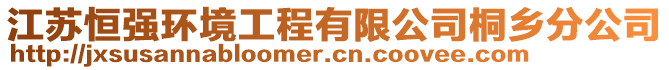 江蘇恒強環(huán)境工程有限公司桐鄉(xiāng)分公司