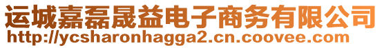 運城嘉磊晟益電子商務有限公司