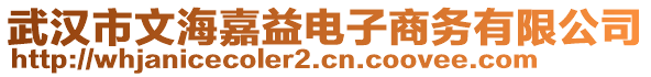 武漢市文海嘉益電子商務有限公司