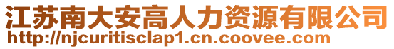 江蘇南大安高人力資源有限公司