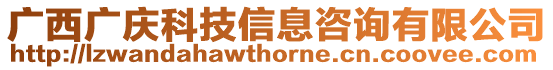 廣西廣慶科技信息咨詢有限公司