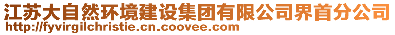 江蘇大自然環境建設集團有限公司界首分公司