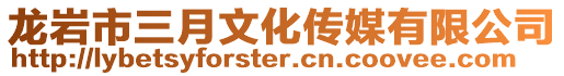 龍巖市三月文化傳媒有限公司