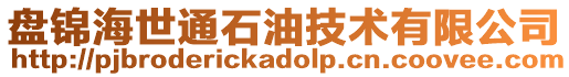 盤錦海世通石油技術有限公司