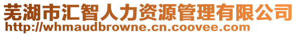 蕪湖市匯智人力資源管理有限公司