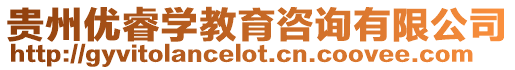 貴州優睿學教育咨詢有限公司