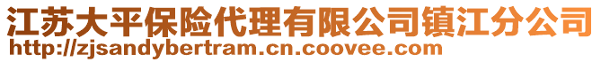 江蘇大平保險(xiǎn)代理有限公司鎮(zhèn)江分公司