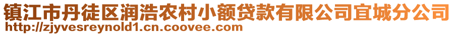 鎮(zhèn)江市丹徒區(qū)潤浩農(nóng)村小額貸款有限公司宜城分公司