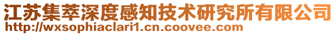 江蘇集萃深度感知技術研究所有限公司