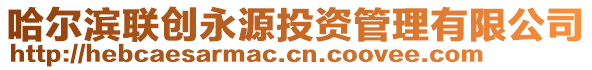 哈爾濱聯(lián)創(chuàng)永源投資管理有限公司