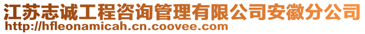 江苏志诚工程咨询管理有限公司安徽分公司