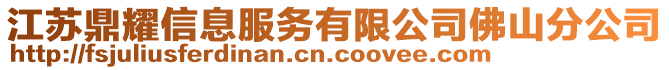 江苏鼎耀信息服务有限公司佛山分公司