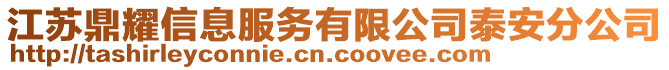 江苏鼎耀信息服务有限公司泰安分公司