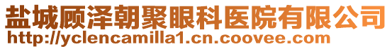 盐城顾泽朝聚眼科医院有限公司