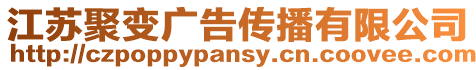 江蘇聚變廣告傳播有限公司