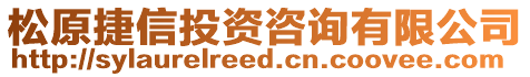 松原捷信投資咨詢有限公司