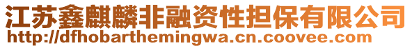 江蘇鑫麒麟非融資性擔保有限公司
