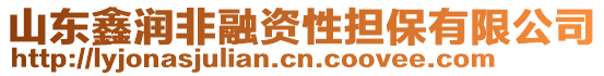 山東鑫潤非融資性擔保有限公司