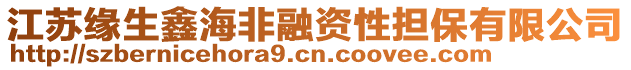 江蘇緣生鑫海非融資性擔(dān)保有限公司