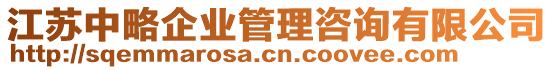 江蘇中略企業(yè)管理咨詢有限公司