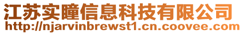 江蘇實(shí)瞳信息科技有限公司