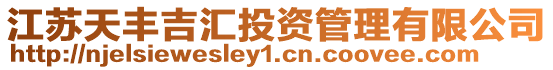 江蘇天豐吉匯投資管理有限公司