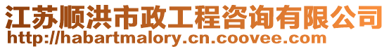 江蘇順洪市政工程咨詢有限公司