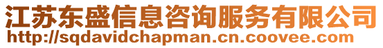 江蘇東盛信息咨詢服務有限公司