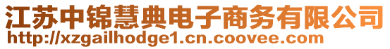 江蘇中錦慧典電子商務有限公司
