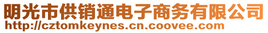 明光市供銷通電子商務(wù)有限公司