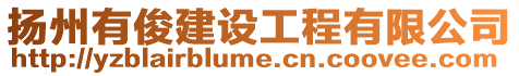 揚州有俊建設工程有限公司
