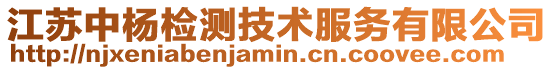 江蘇中楊檢測技術(shù)服務(wù)有限公司