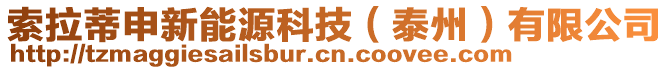 索拉蒂申新能源科技（泰州）有限公司