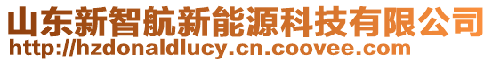 山東新智航新能源科技有限公司