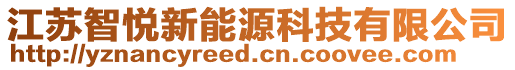 江蘇智悅新能源科技有限公司