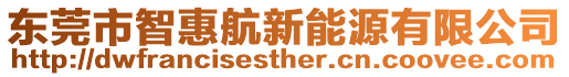 東莞市智惠航新能源有限公司