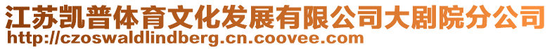 江蘇凱普體育文化發(fā)展有限公司大劇院分公司