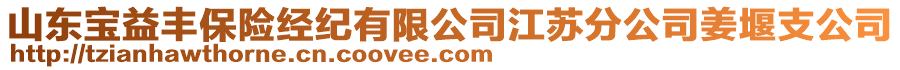 山東寶益豐保險(xiǎn)經(jīng)紀(jì)有限公司江蘇分公司姜堰支公司