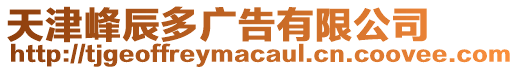 天津峰辰多廣告有限公司