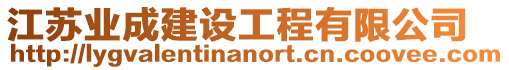 江蘇業(yè)成建設工程有限公司