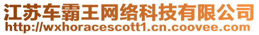 江蘇車霸王網絡科技有限公司