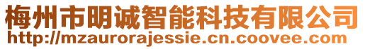 梅州市明誠智能科技有限公司