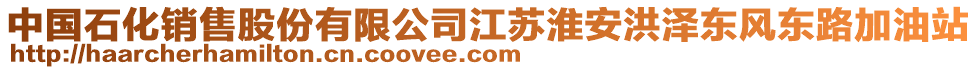 中國(guó)石化銷售股份有限公司江蘇淮安洪澤東風(fēng)東路加油站