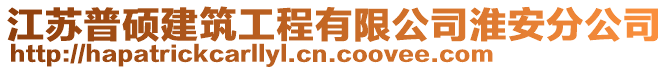 江蘇普碩建筑工程有限公司淮安分公司