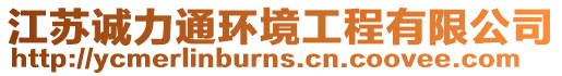 江蘇誠力通環(huán)境工程有限公司