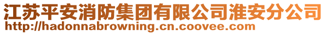 江蘇平安消防集團(tuán)有限公司淮安分公司