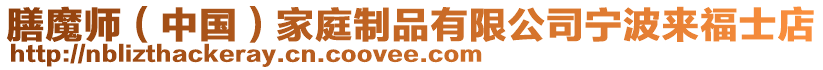 膳魔師(中國)家庭制品有限公司寧波來福士店