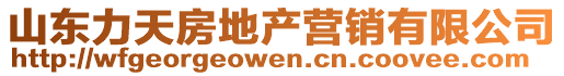 山東力天房地產(chǎn)營(yíng)銷有限公司